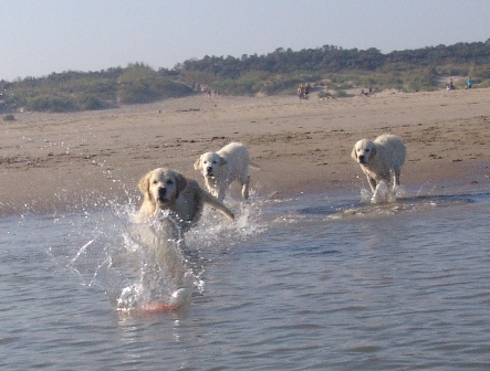 Mama Lilli mit Kids