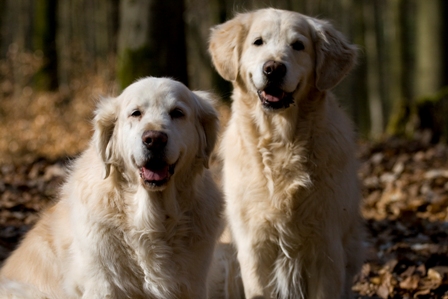 Daika und Annie