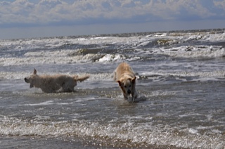 Archie und Milow