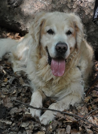 Dusty im 10. Lebensjahr