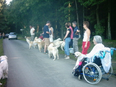 Wir gingen gemeinsam einen Parcour ab, der viele Anforderungen an Mensch und Hund stellte :)