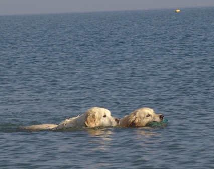 Schwimmen mit Lilli