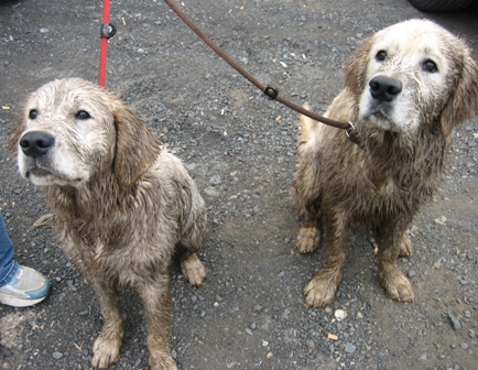 Lucy und Nelson