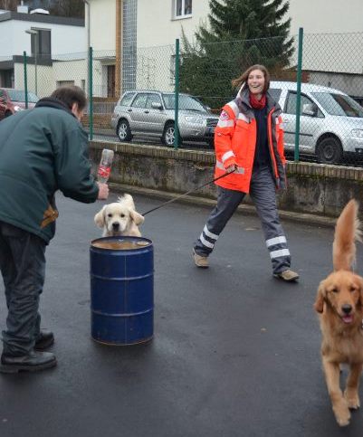 Rettungshund