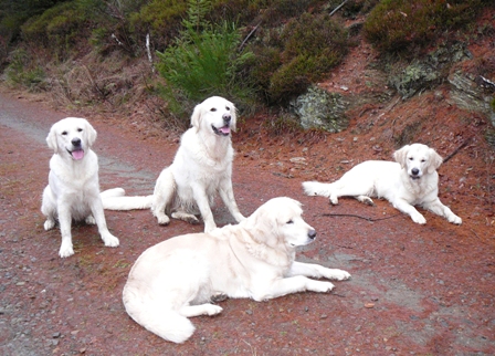 Joe, Nelson, Lilli und Lucy