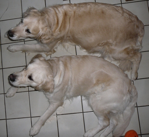 Lilli und Joe