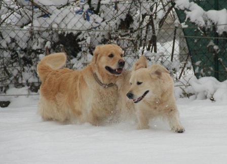 hugo und lilli