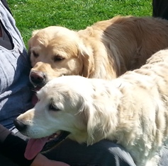 Lilli und Hugo